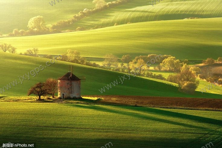 纹理